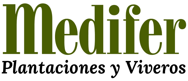 Medifer — Plantaciones y Viveros