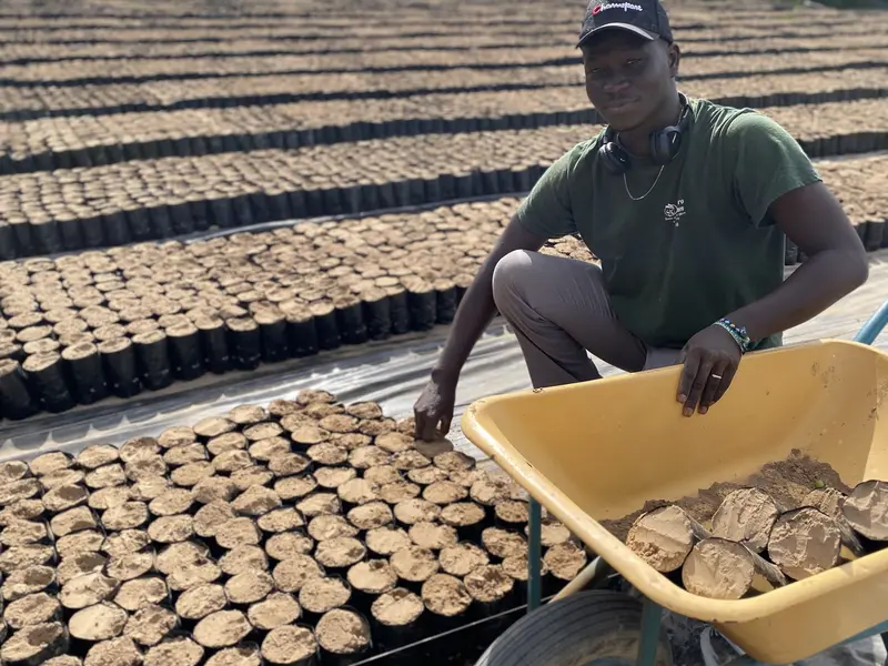 Colocaci&oacute;n de macetas con sustrato en la era de cultivo